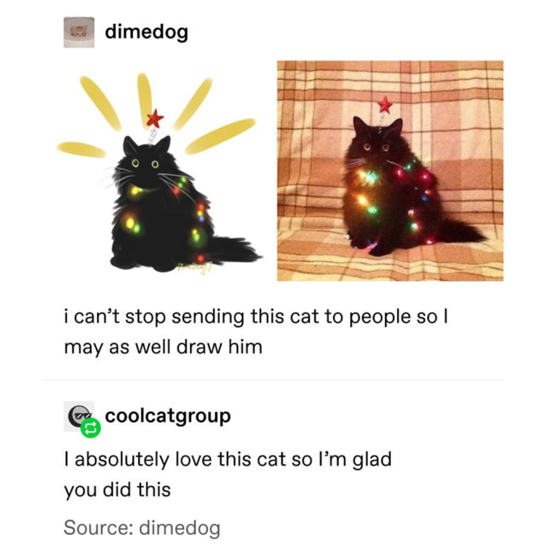 christmas+cat