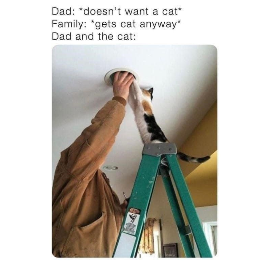 dad+and+the+cat+he+didn%26%238217%3Bt+want