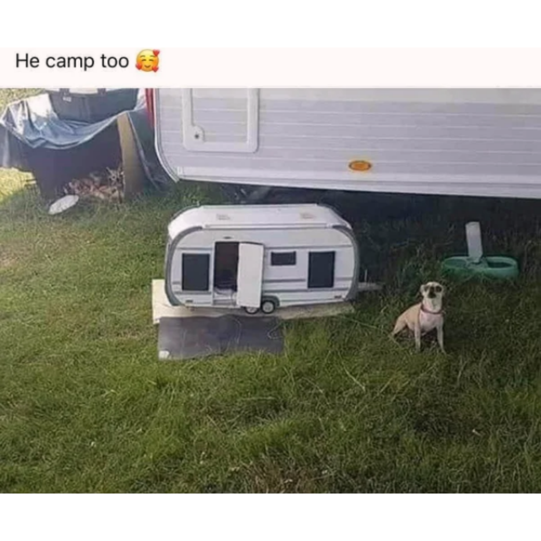 he+drove+himself%2C+too