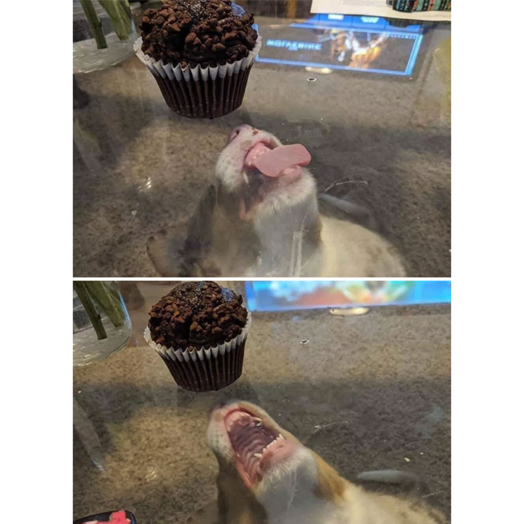 so+close+he+can+taste+it