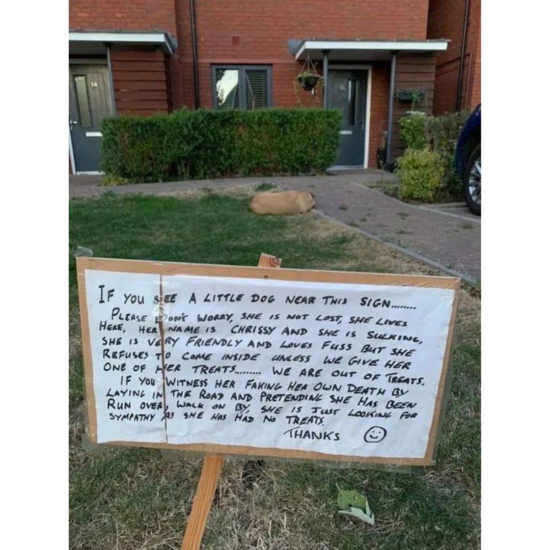 she%26%238217%3Bs+not+lost%2C+she%26%238217%3Bs+just+dramatic