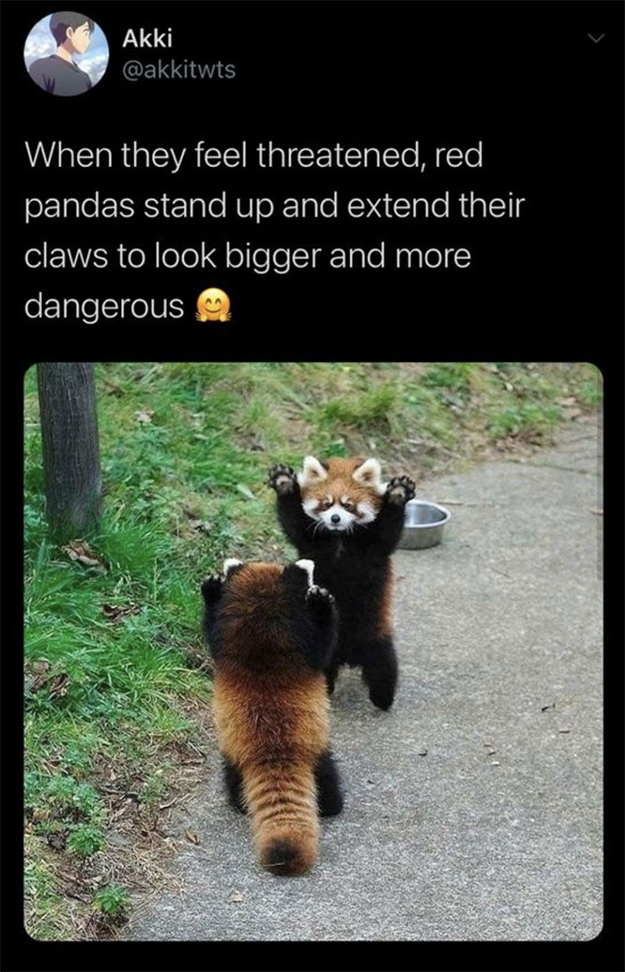 danger+danger+danger%21