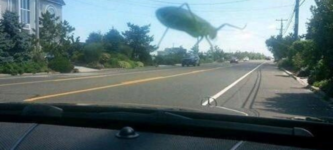 giant+grasshopper+attack