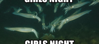 girls+night