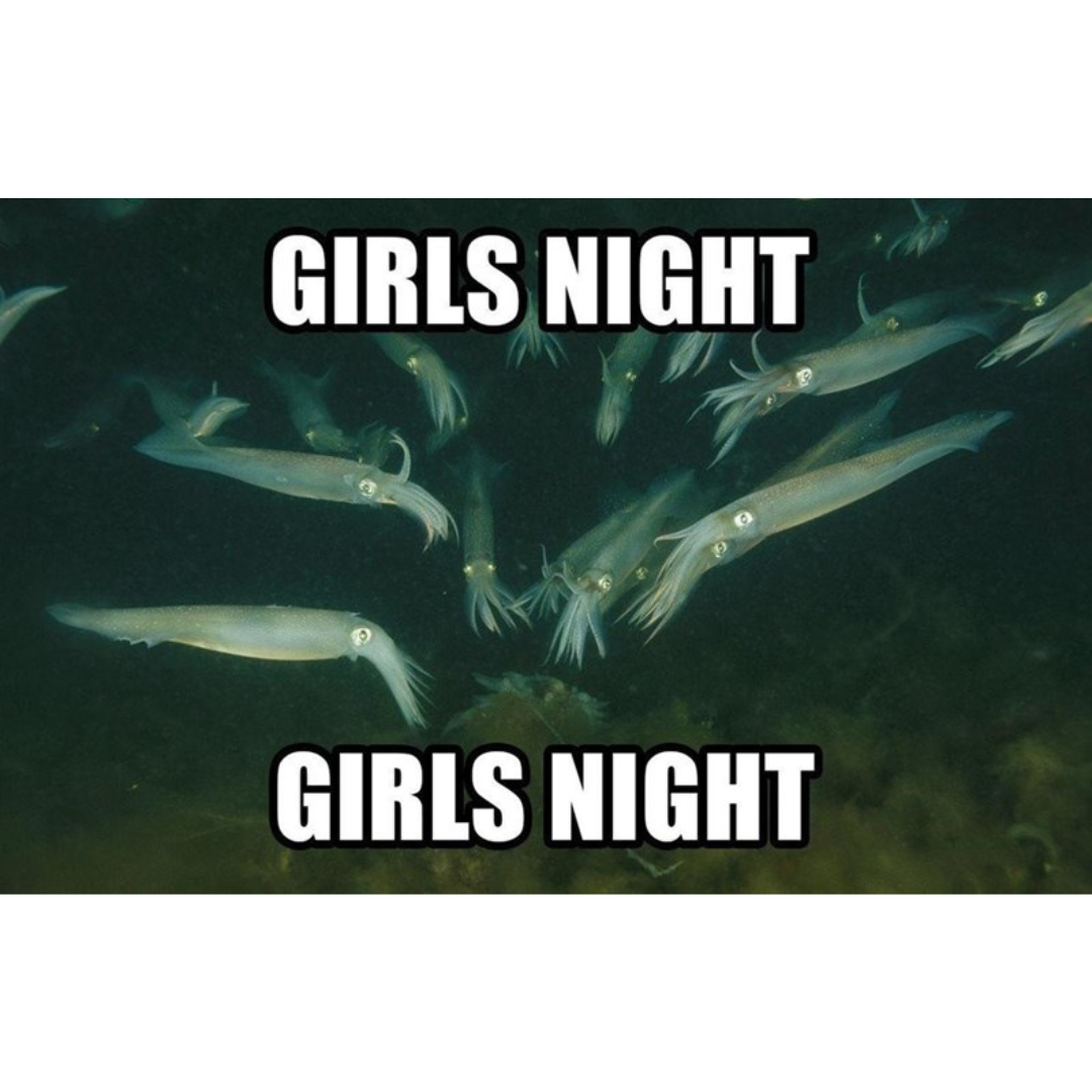 girls+night