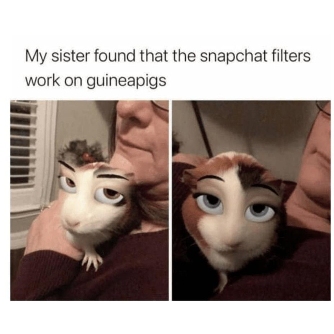 this+is+creepy%2C+not+cute