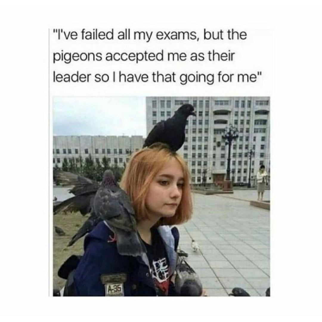 pigeon+queen