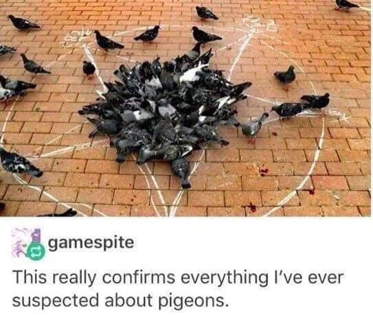 the+devil%26%238217%3Bs+bird