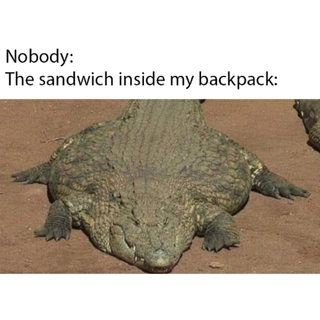 the+squish+adds+flavor