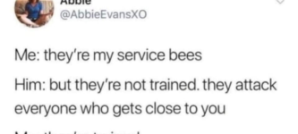 service+bees