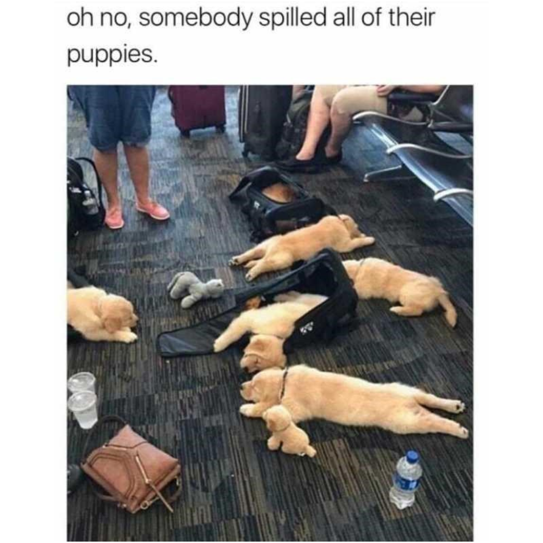 adorable+when+that+happens