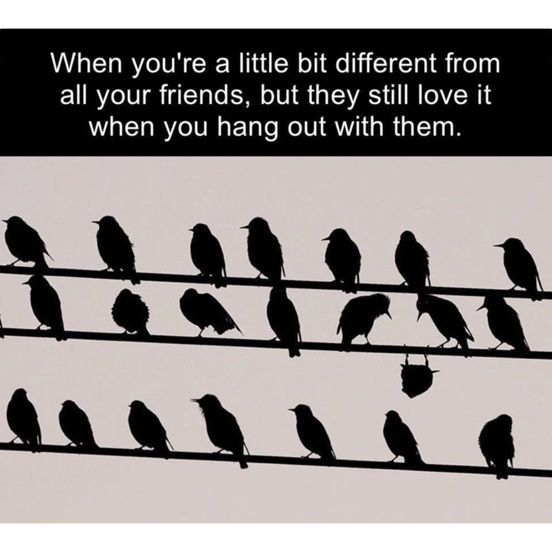 i%26%238217%3Bm+the+weird+one