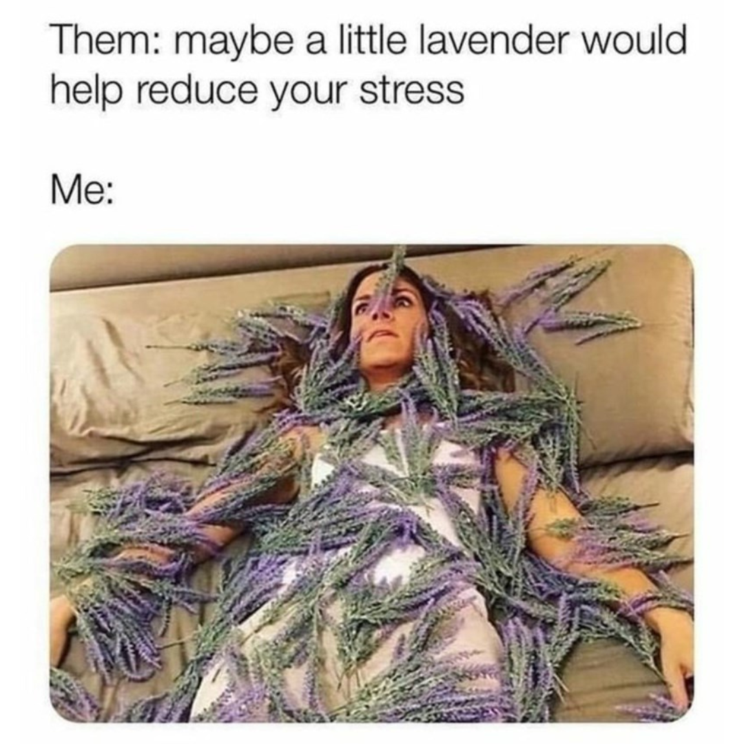 stress+lavendar