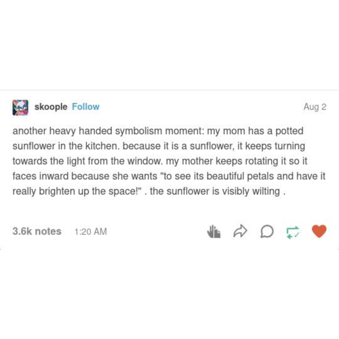 it%26%238217%3Bs+called+a+sunflower+for+a+reason