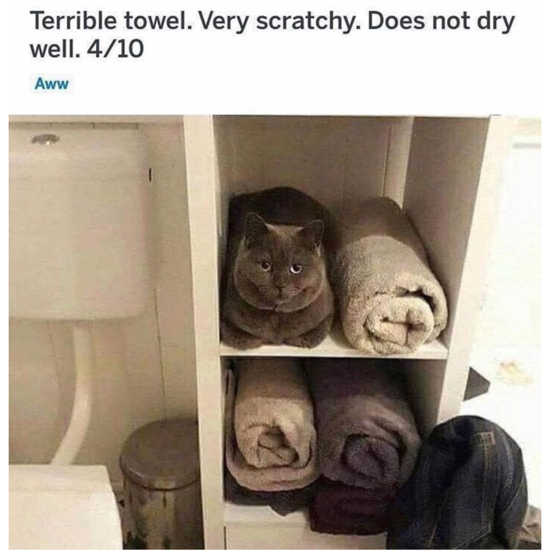 terrible+towel