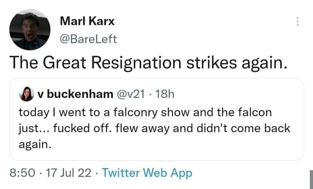 the+falcon+chose+freedom