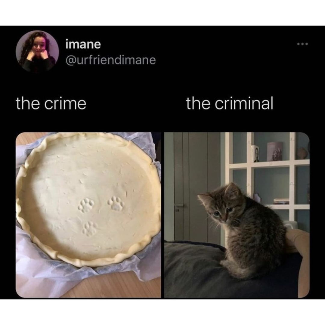 the+cutest+criminal