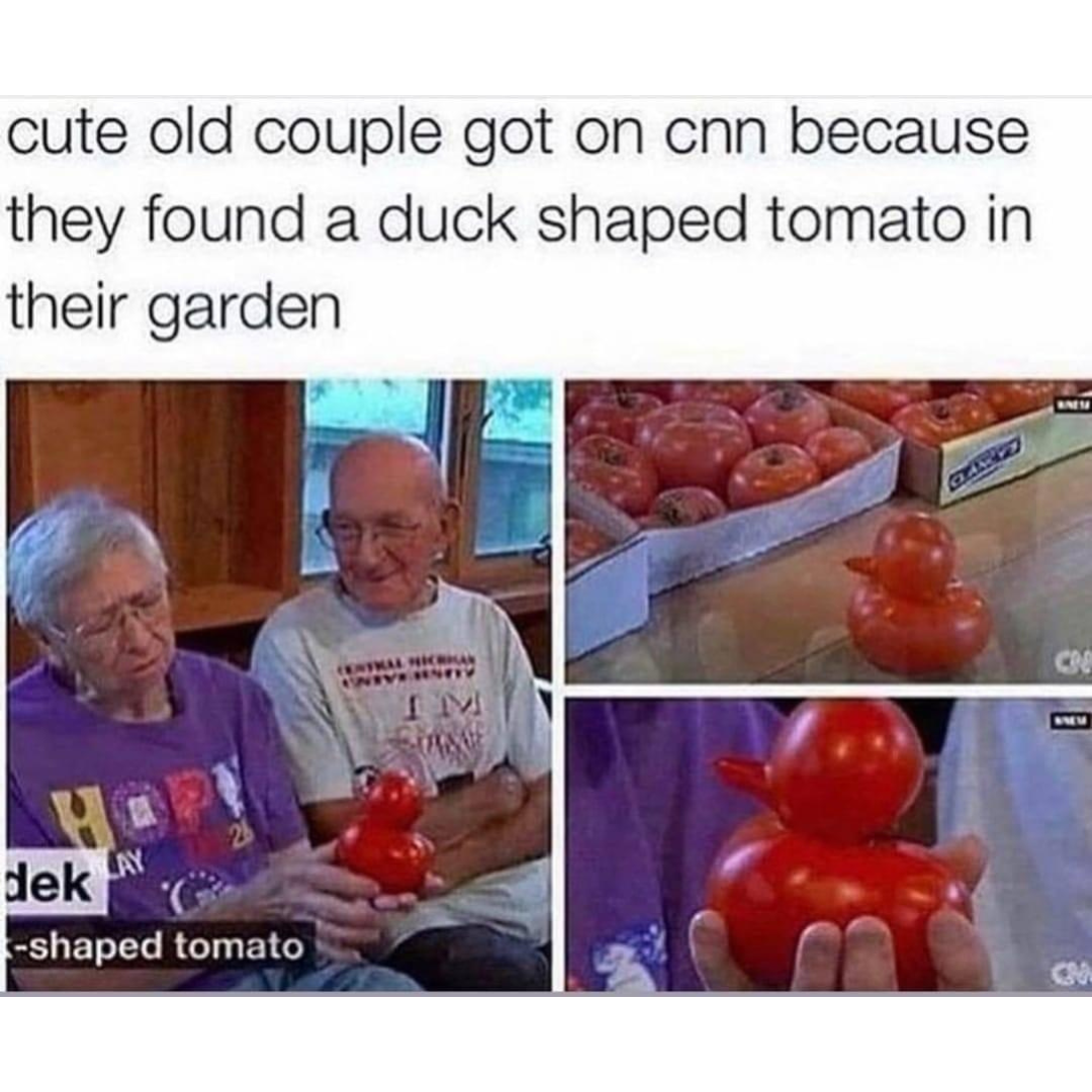 wholesome+duck+tomato