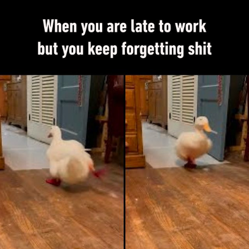 always+forget+my+wallet