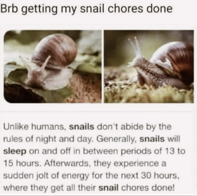 snail+chores