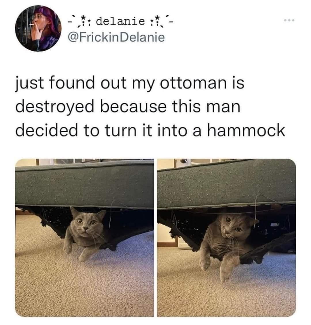 not+destroyed.+improvements+were+made