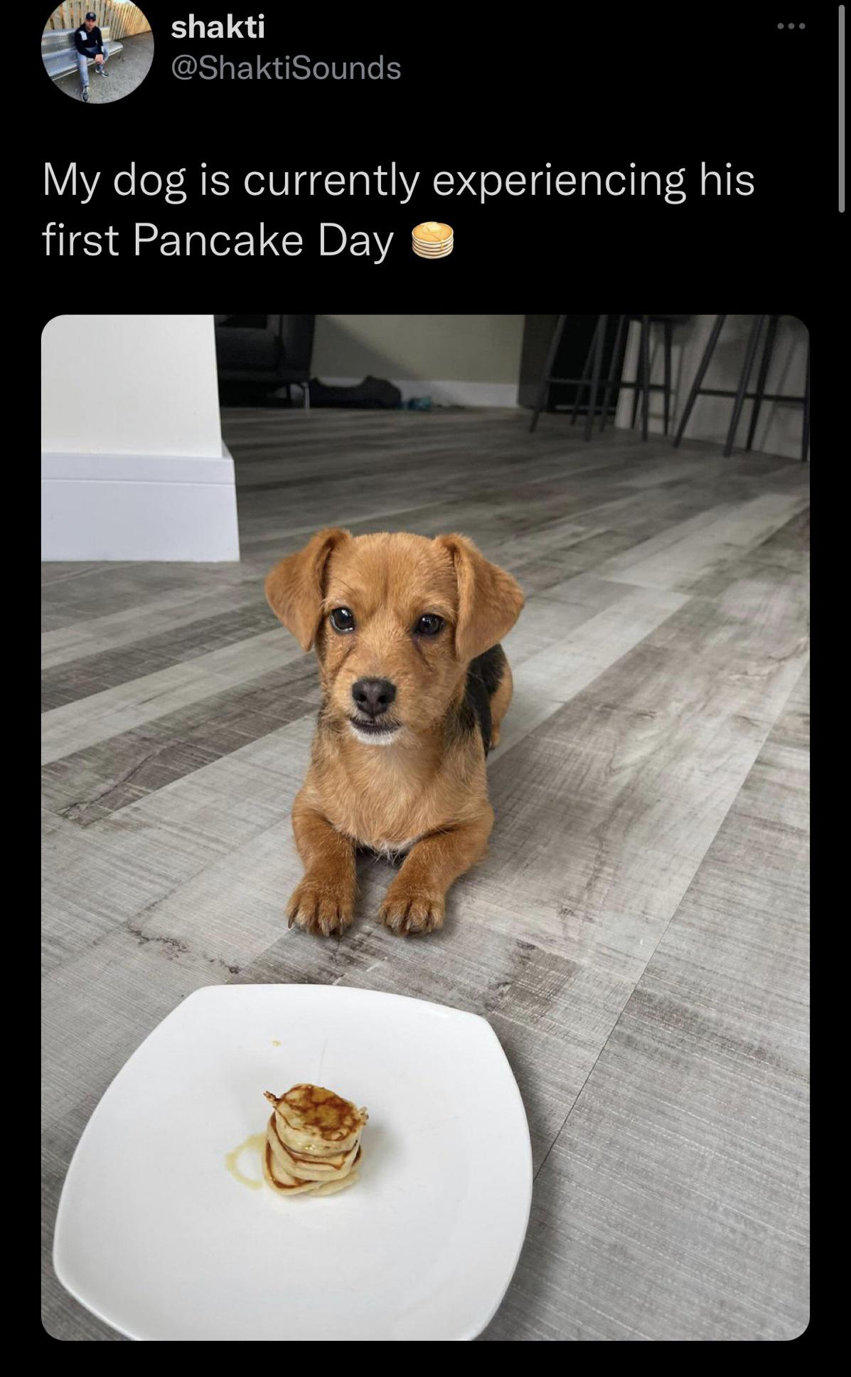 he+doesn%26%238217%3Bt+look+happy+about+it