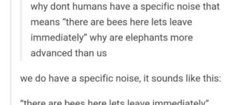 bees+%26%238211%3B+leave+immediately