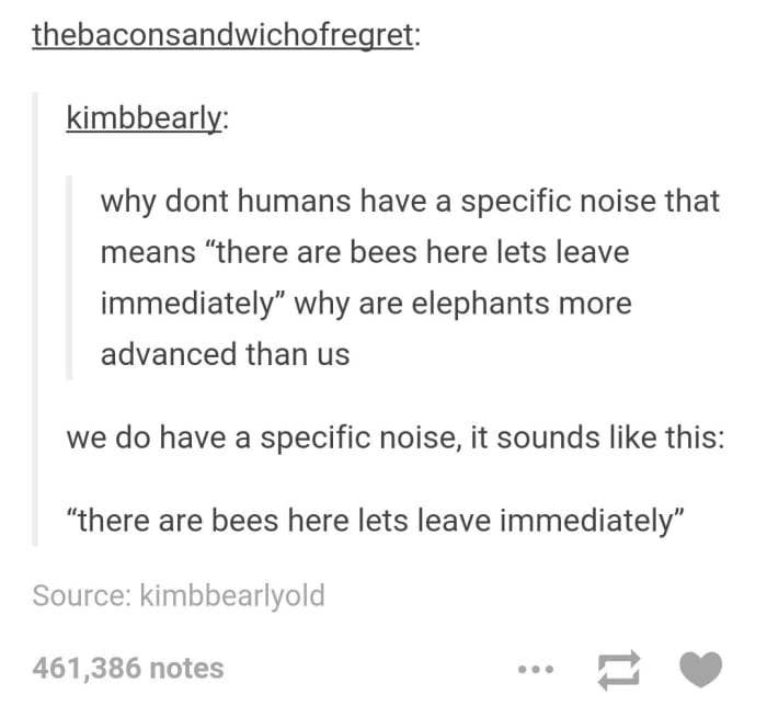 bees+%26%238211%3B+leave+immediately