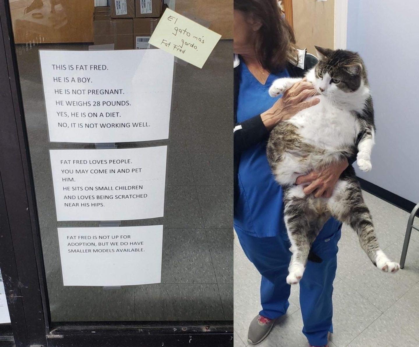 smaller+models+available