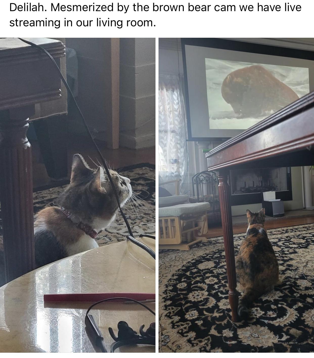 hey+there%2C+delilah