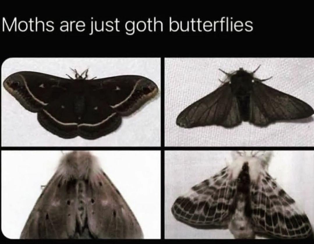goth+butterflies