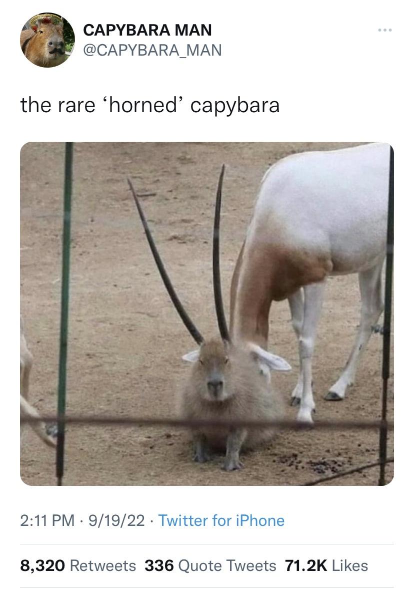 he%26%238217%3Bs+coming+for+you%3F