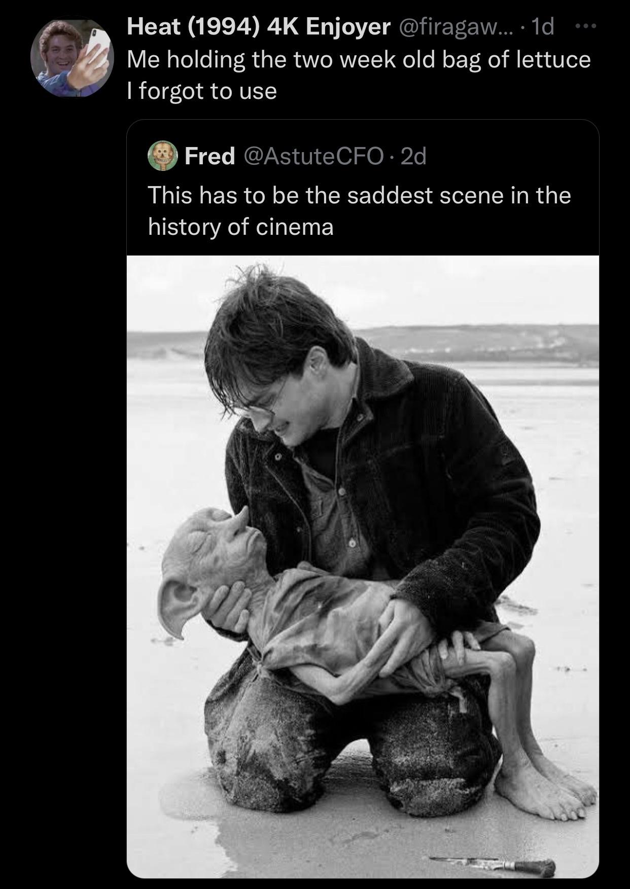 i%26%238217%3Bm+sorry+i+failed+you%2C+lettuce%26%238230%3B