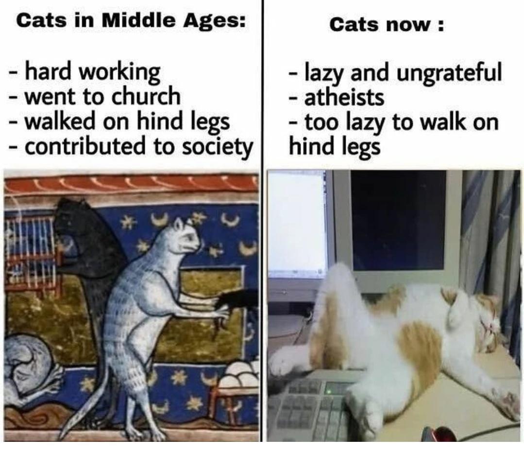 cats+then+vs+now