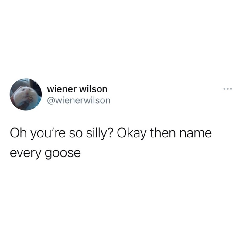 every.+goose.