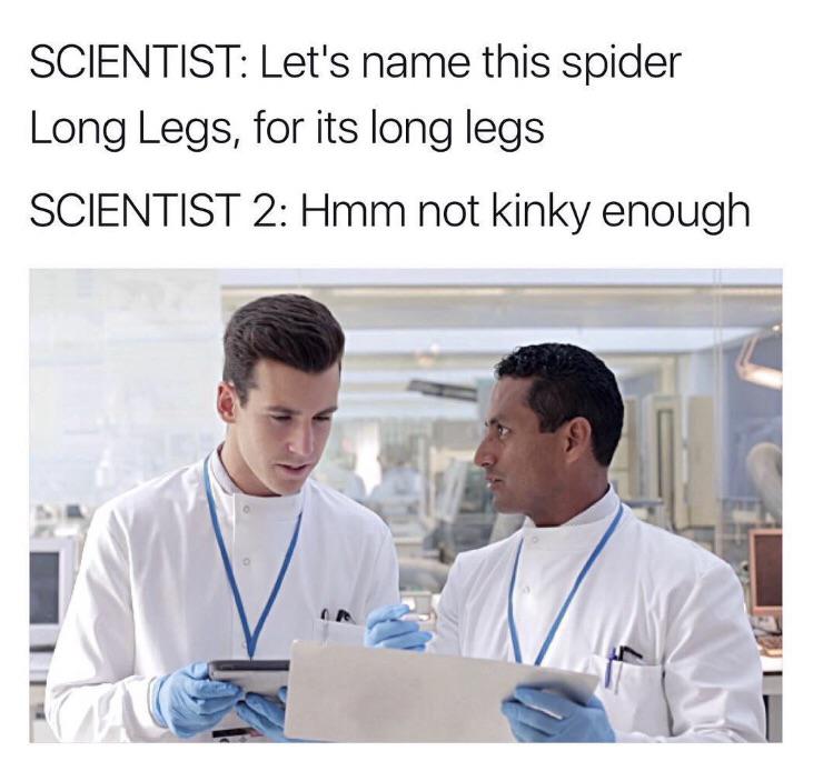 something+long+legs