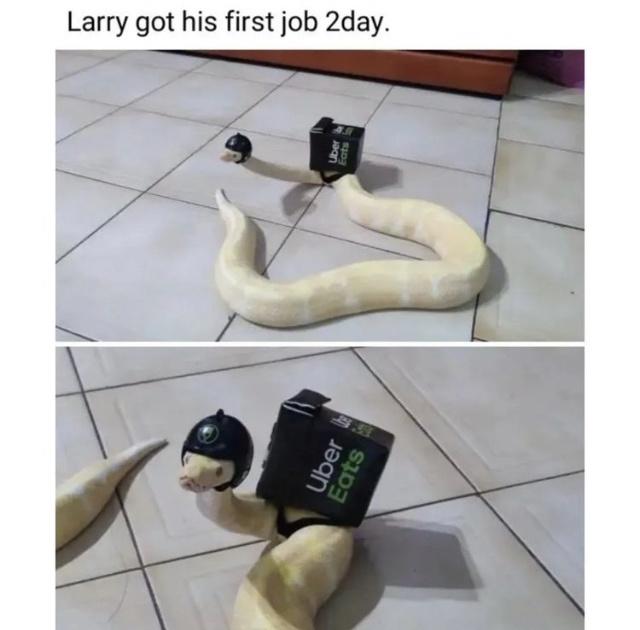 larry+gets+an+extra+tip