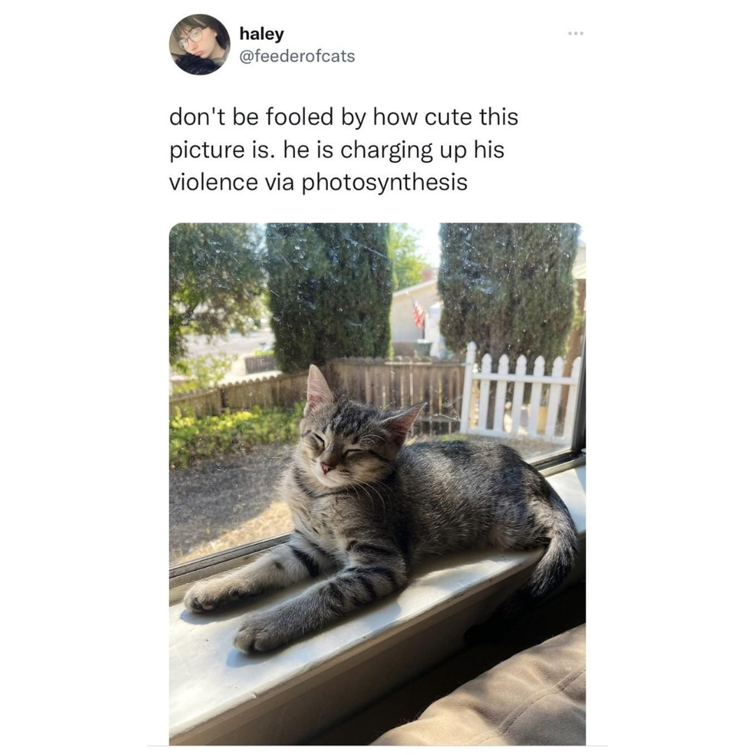 charging+up+his+violence