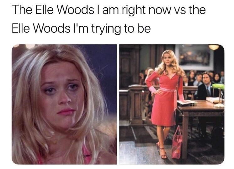 which+elle+woods+are+you%3F