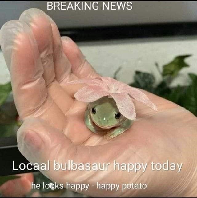 happy+bulbasaur