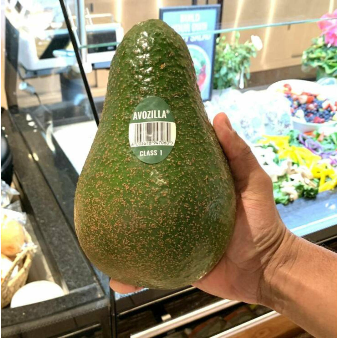just+a+massive+avocado