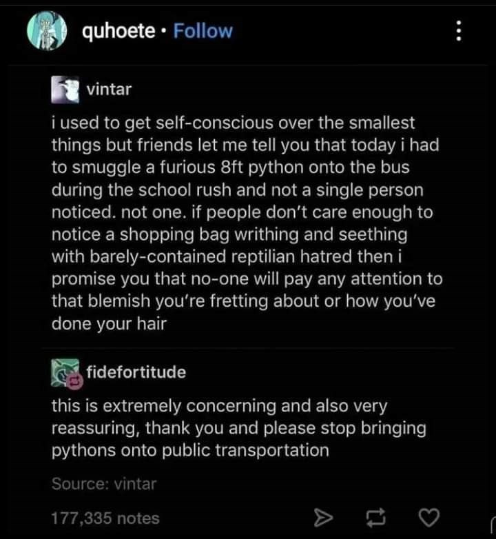 reptilian+positive+reinforcement