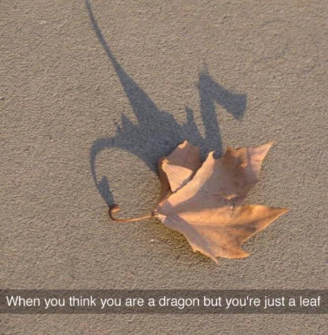 leafy+dragon