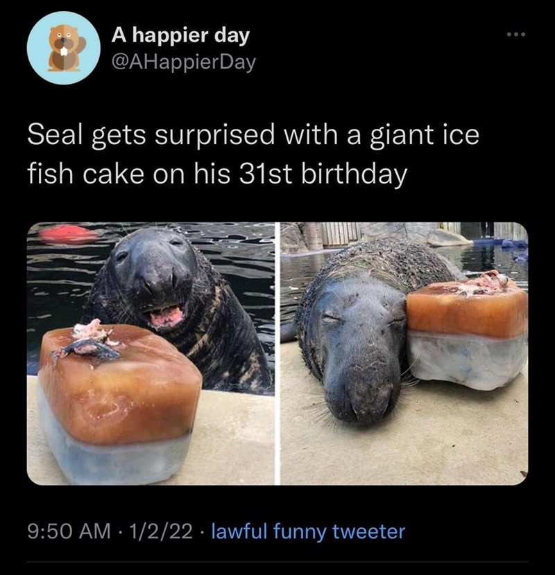 happy+seal