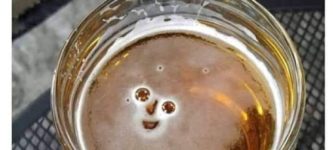 happy+brew