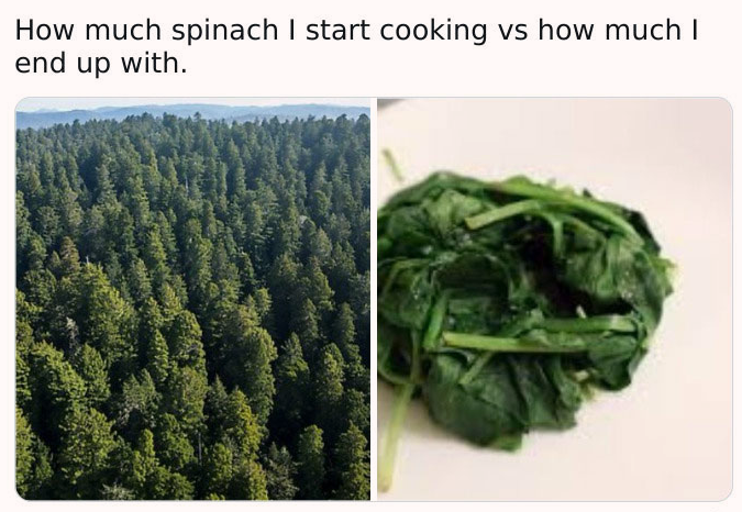 the+challenge+of+cooking+spinach