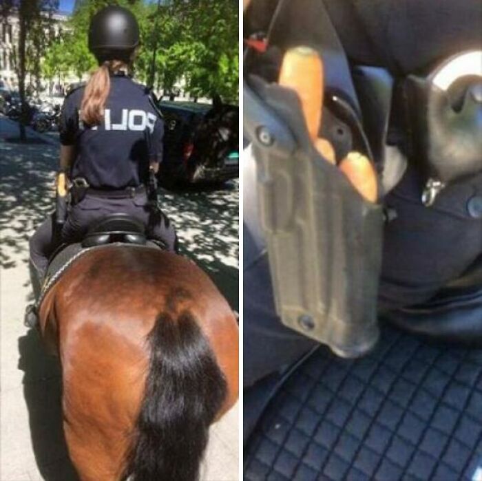 locked+and+loaded%26%238230%3B+with+carrots%21