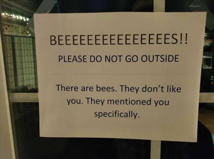 the+bees.+they+hate+you%2C+specifically