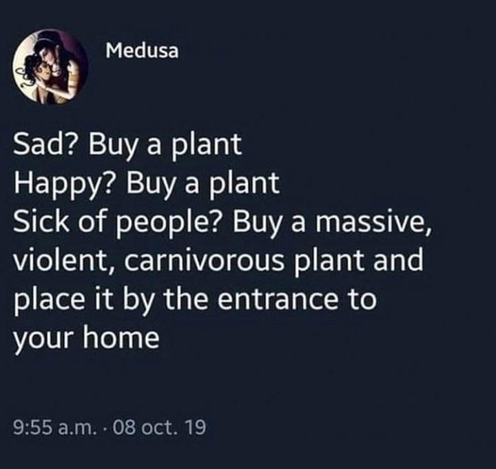 buy+plants