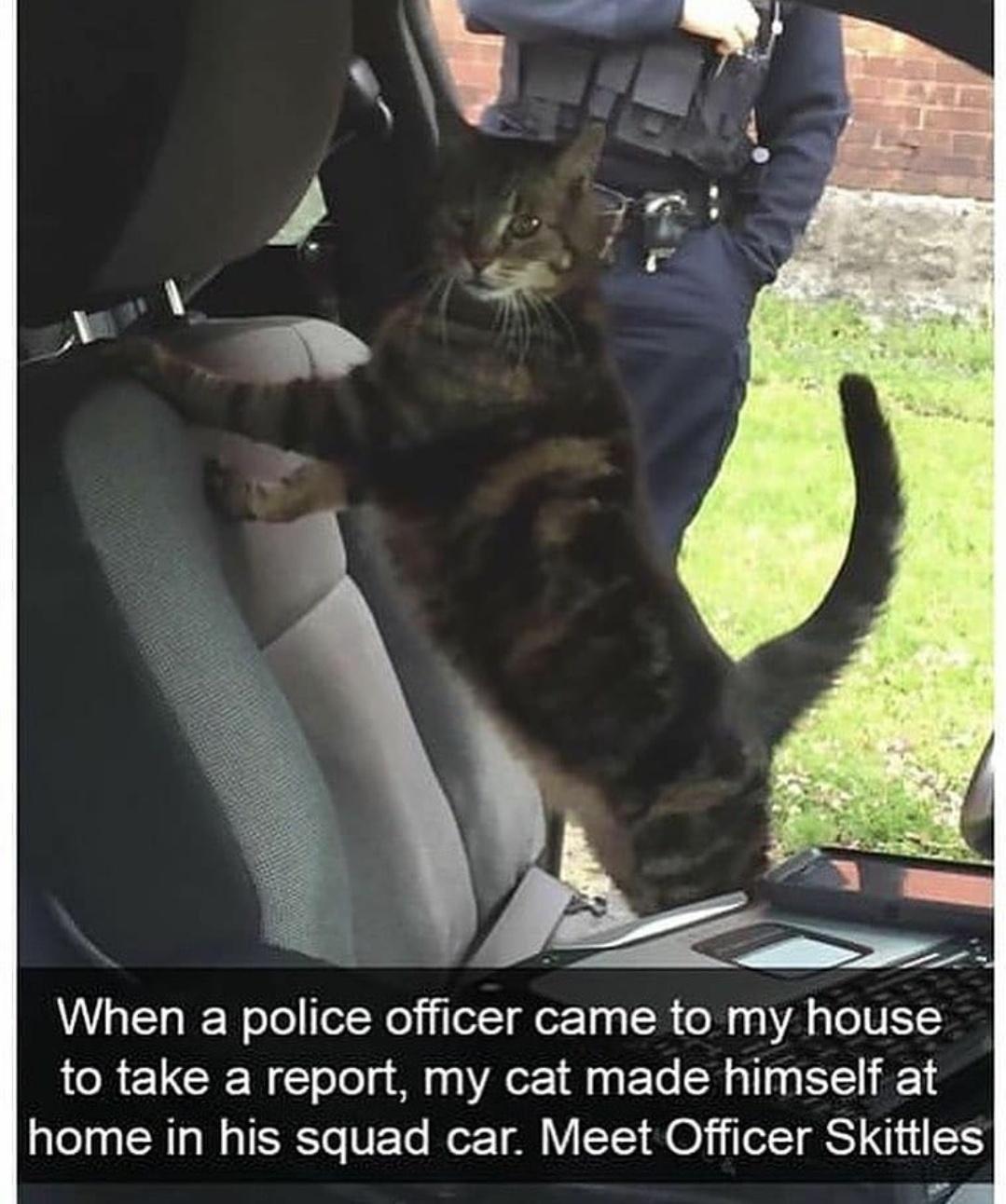 officer+skittles+reporting+for+duty